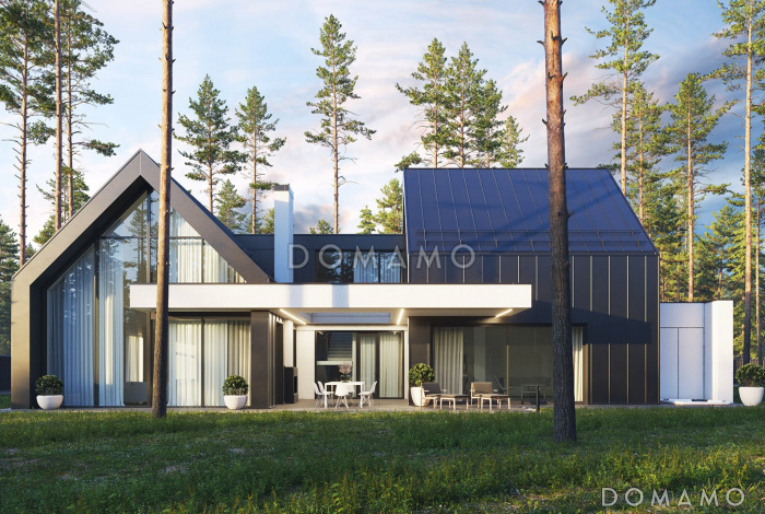 Проект сблокированного дома с спа-зоной, джакузи под открытым небом, просторной гостиной-столовой