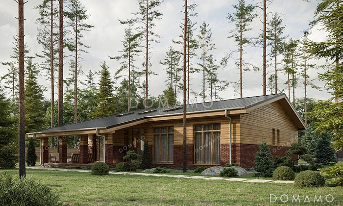 Проект одноэтажного дома с просторной гостиной и террасой