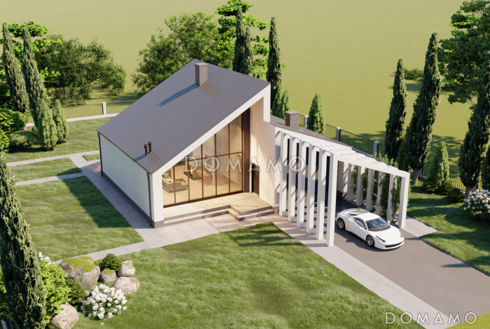 Проект одноэтажного каркасного дома в стиле хай-тек с "живым" навесом