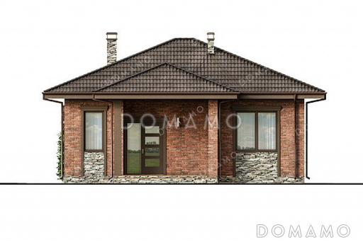 Проект одноэтажного дома с большой гостиной / Фасад 3