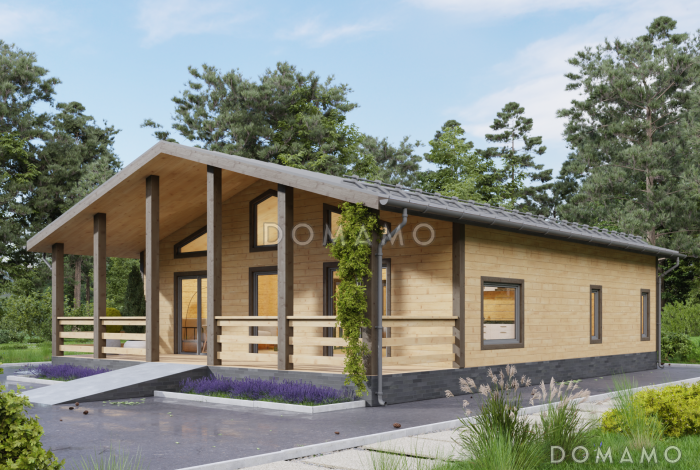 Дом, адаптированный для маломобильных людей, 10х10м. Дк-189